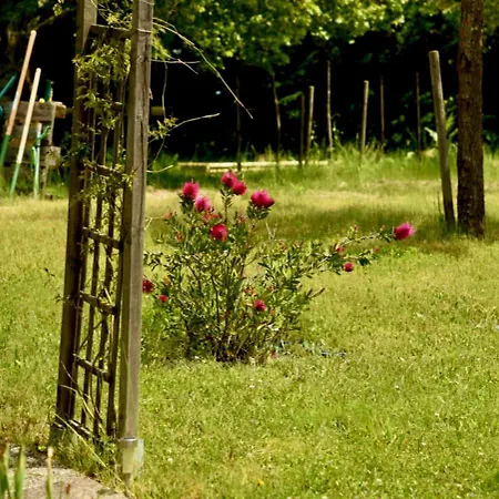 Lejlighed Air-Con & Cosy 3-Star Windmill Cottage Of Monpazier Within 5 Mins' Walk To Village *